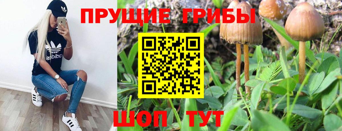 Псилоцибиновые грибы Psilocybine cubensis  Галлюциногенные грибы Psilocybine cubensis  Вход с VPN  Железногорск 